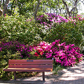 Memorial Bench at Playfair Park