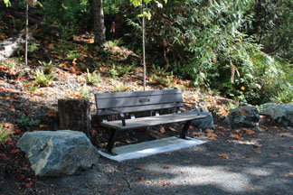 Donation Bench