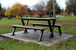 Picnic table in park