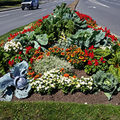 Roadside garden