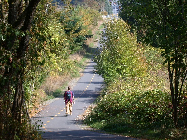 photo of man walking treed trail